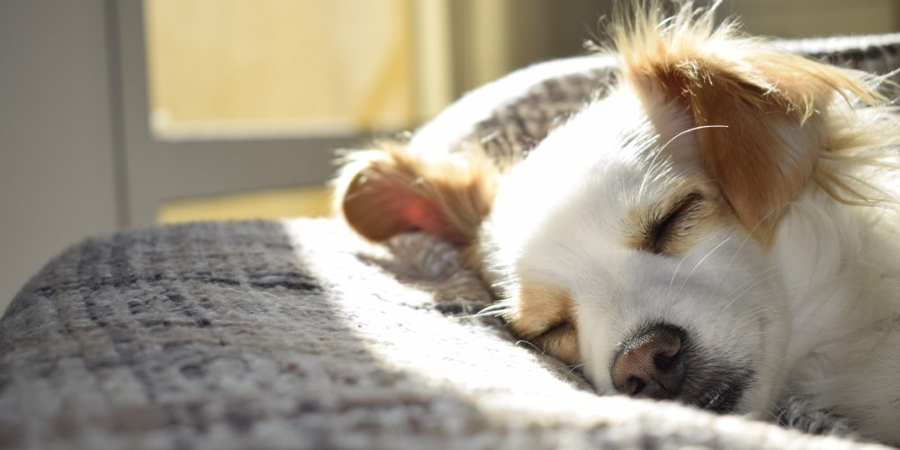 Higiene del sueño: Nuestros 15 consejos para dormir mejor