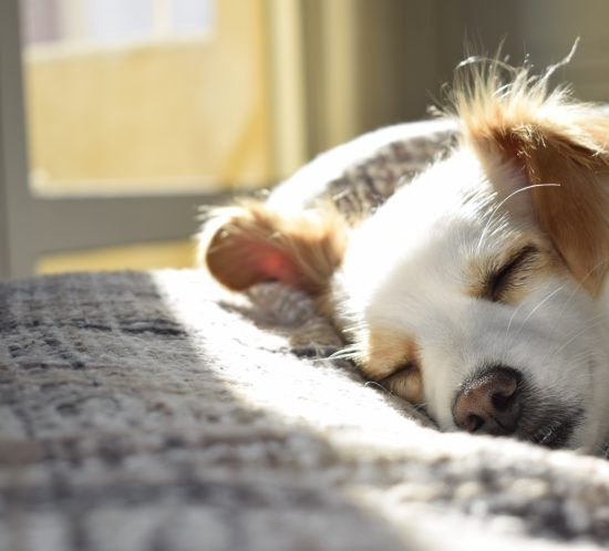 Higiene del sueño: Nuestros 15 consejos para dormir mejor